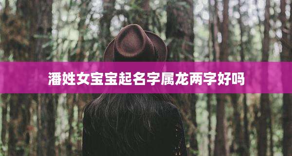 潘姓女宝宝起名字属龙两字好吗