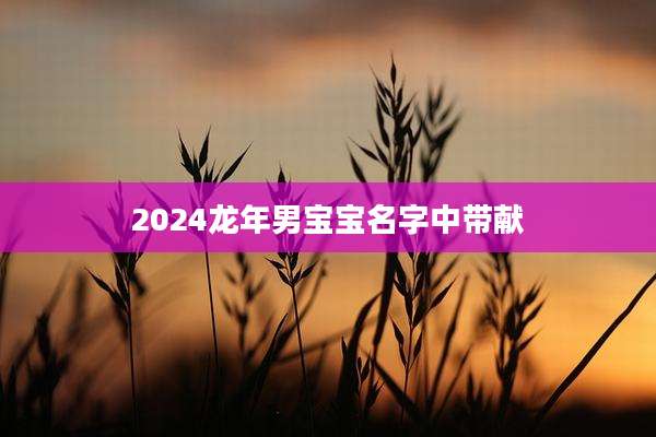 2024龙年男宝宝名字中带献