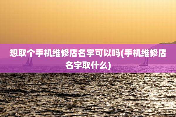 想取个手机维修店名字可以吗(手机维修店名字取什么)