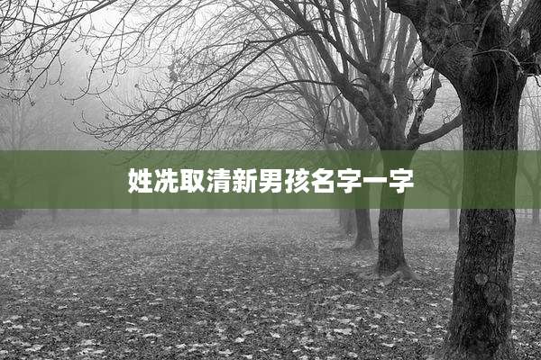 姓冼取清新男孩名字一字
