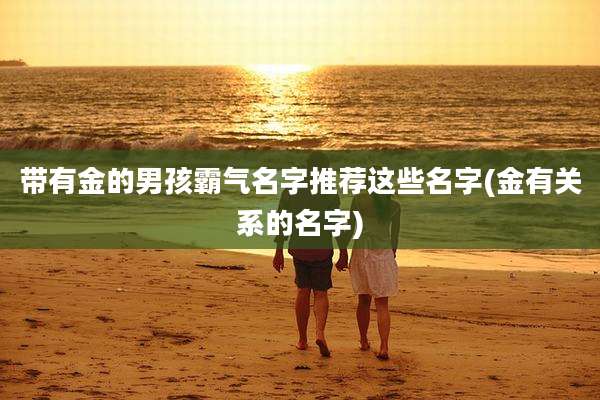 带有金的男孩霸气名字推荐这些名字(金有关系的名字)