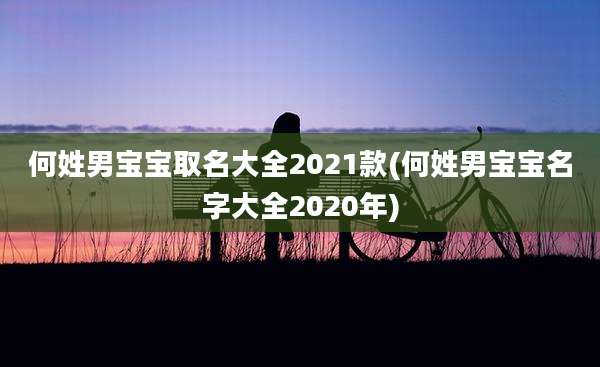 何姓男宝宝取名大全2021款(何姓男宝宝名字大全2020年)