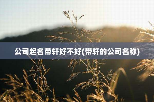 公司起名带轩好不好(带轩的公司名称)