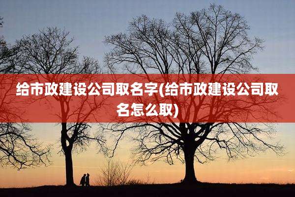 给市政建设公司取名字(给市政建设公司取名怎么取)