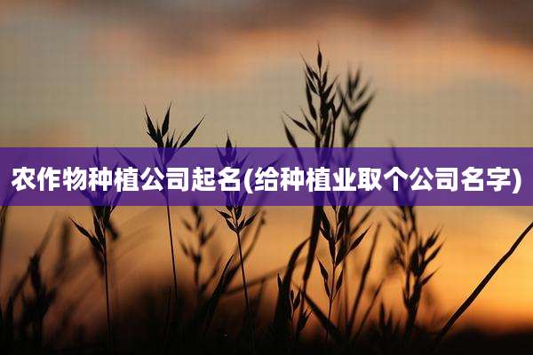 农作物种植公司起名(给种植业取个公司名字)