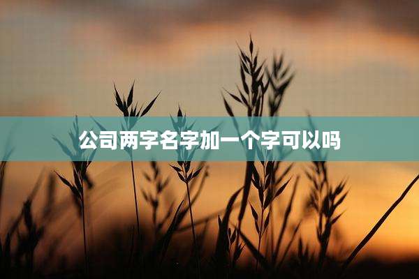 公司两字名字加一个字可以吗