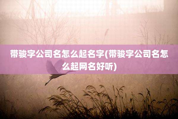 带骏字公司名怎么起名字(带骏字公司名怎么起网名好听)
