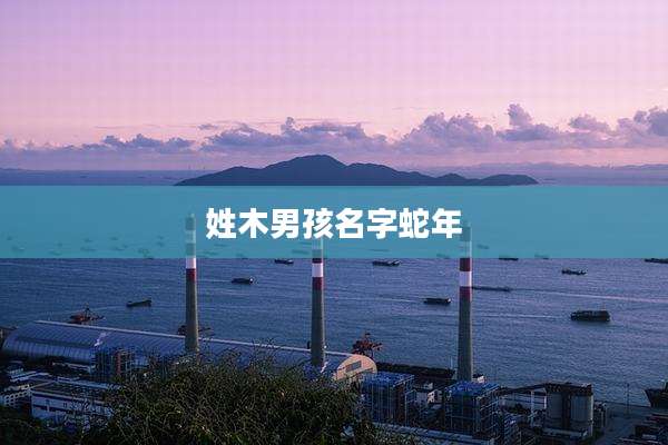 姓木男孩名字蛇年