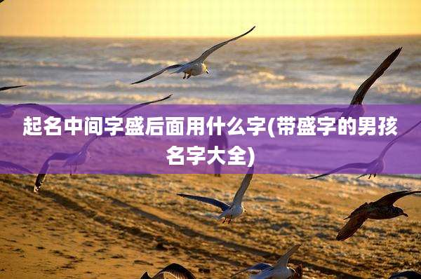 起名中间字盛后面用什么字(带盛字的男孩名字大全)
