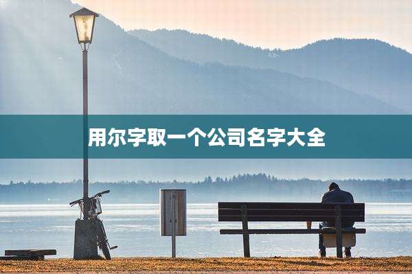 用尔字取一个公司名字大全
