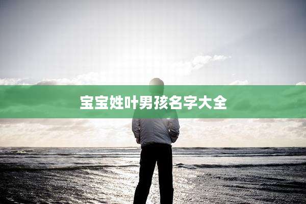 宝宝姓叶男孩名字大全