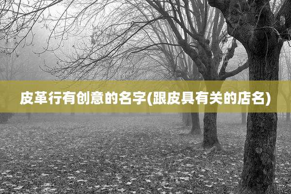皮革行有创意的名字(跟皮具有关的店名)