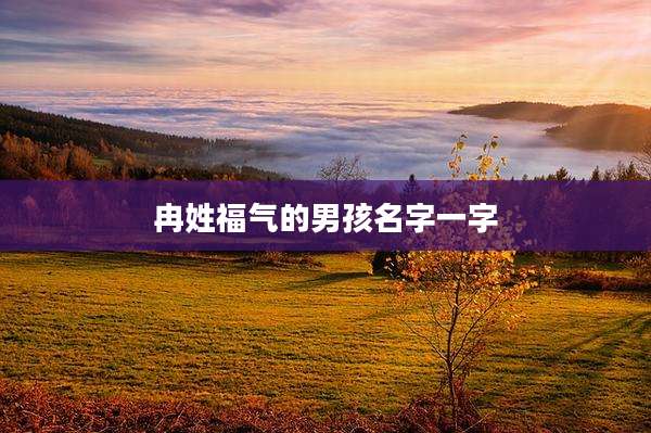 冉姓福气的男孩名字一字