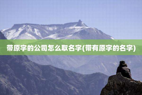 带原字的公司怎么取名字(带有原字的名字)