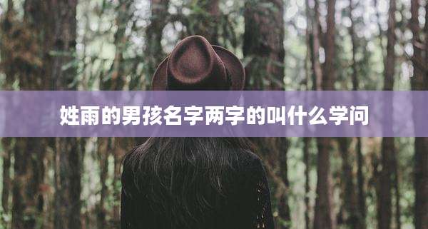 姓雨的男孩名字两字的叫什么学问