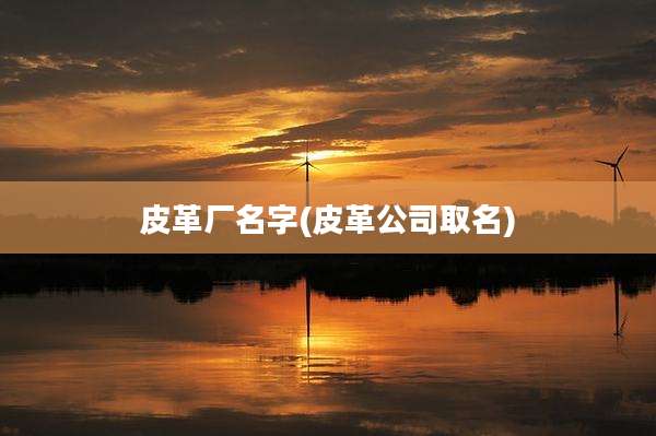 皮革厂名字(皮革公司取名)