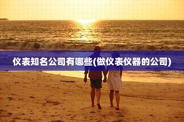 仪表知名公司有哪些(做仪表仪器的公司)