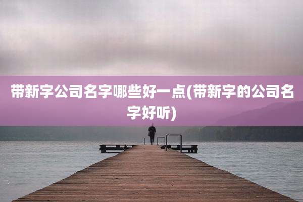 带新字公司名字哪些好一点(带新字的公司名字好听)