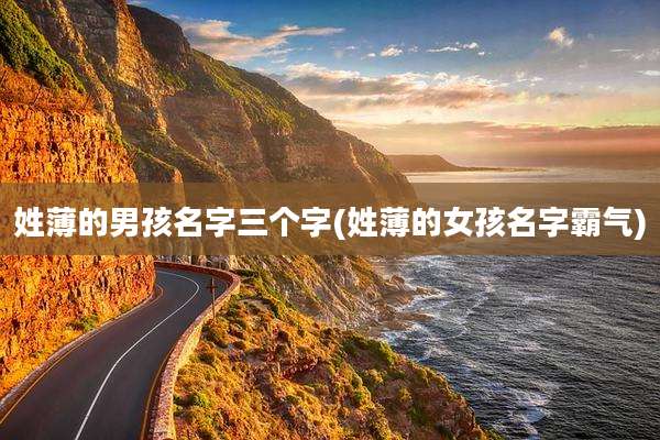 姓薄的男孩名字三个字(姓薄的女孩名字霸气)