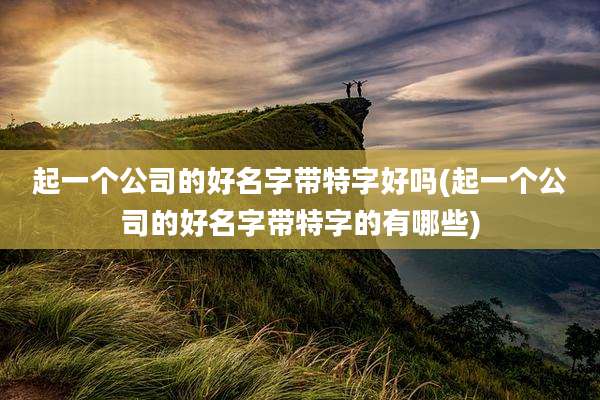 起一个公司的好名字带特字好吗(起一个公司的好名字带特字的有哪些)