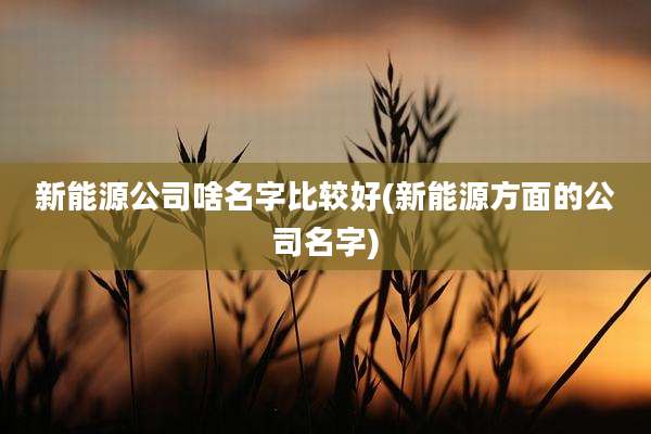 新能源公司啥名字比较好(新能源方面的公司名字)