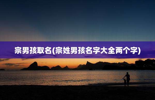 宗男孩取名(宗姓男孩名字大全两个字)