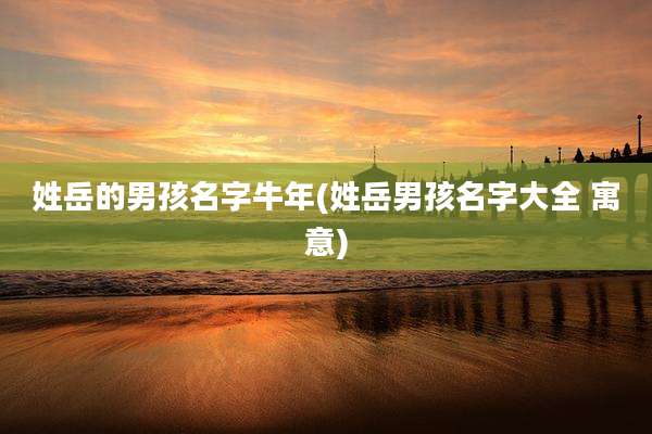 姓岳的男孩名字牛年(姓岳男孩名字大全 寓意)