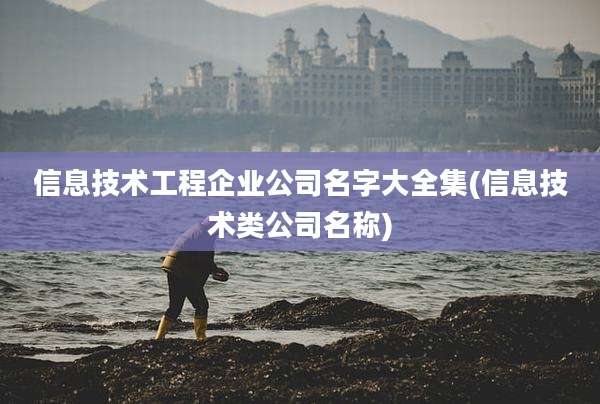 信息技术工程企业公司名字大全集(信息技术类公司名称)