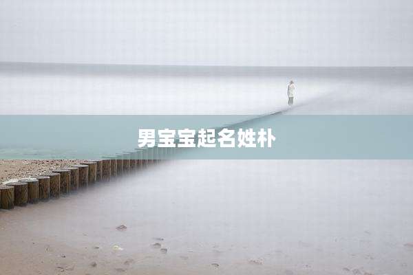 男宝宝起名姓朴