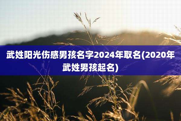 武姓阳光伤感男孩名字2024年取名(2020年武姓男孩起名)