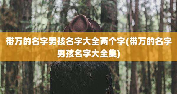 带万的名字男孩名字大全两个字(带万的名字男孩名字大全集)
