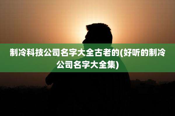 制冷科技公司名字大全古老的(好听的制冷公司名字大全集)