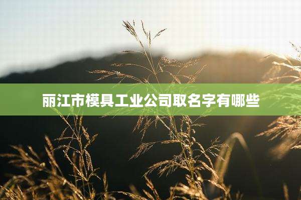 丽江市模具工业公司取名字有哪些