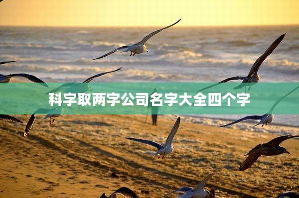 科字取两字公司名字大全四个字