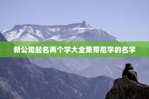 新公司起名两个字大全集带尼字的名字