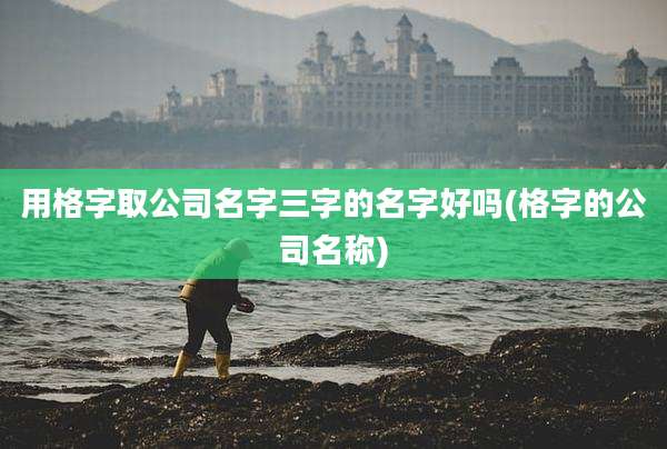 用格字取公司名字三字的名字好吗(格字的公司名称)