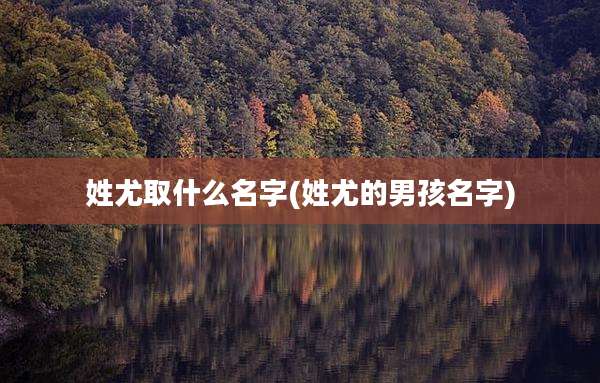 姓尤取什么名字(姓尤的男孩名字)
