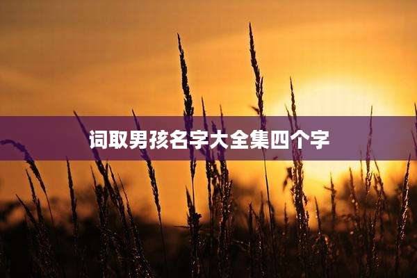 词取男孩名字大全集四个字