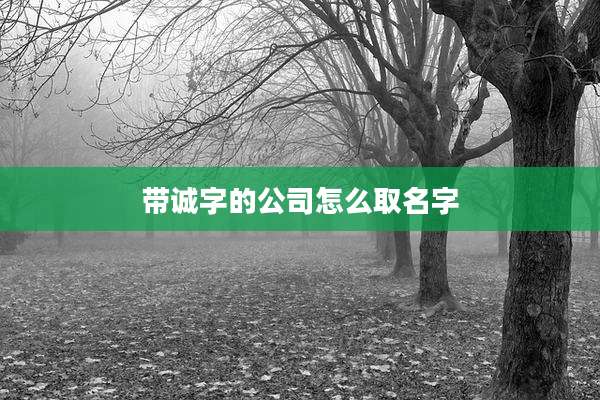 带诚字的公司怎么取名字