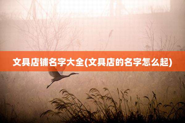 文具店铺名字大全(文具店的名字怎么起)