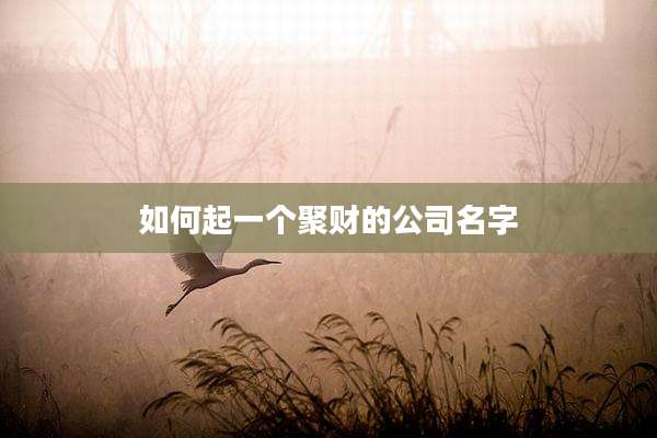 如何起一个聚财的公司名字