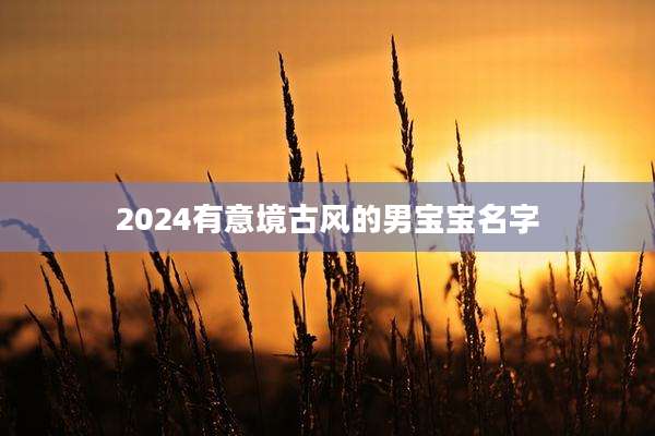 2024有意境古风的男宝宝名字
