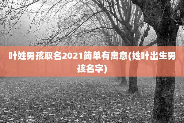 叶姓男孩取名2021简单有寓意(姓叶出生男孩名字)