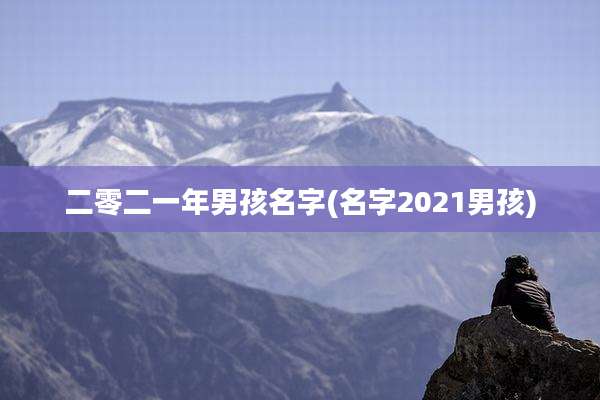二零二一年男孩名字(名字2021男孩)