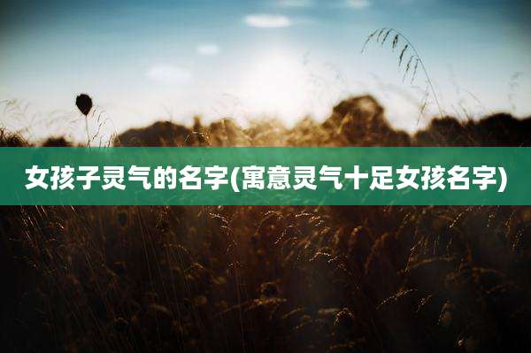 女孩子灵气的名字(寓意灵气十足女孩名字)