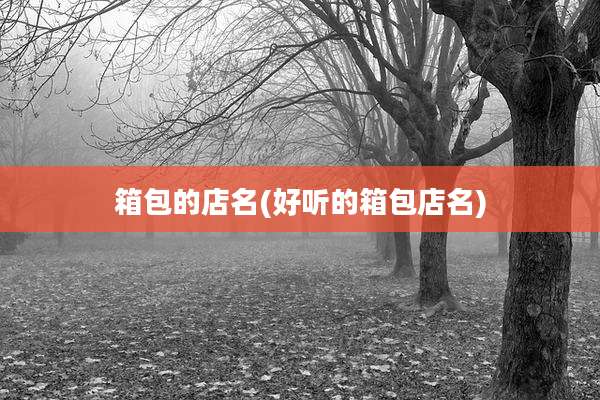 箱包的店名(好听的箱包店名)