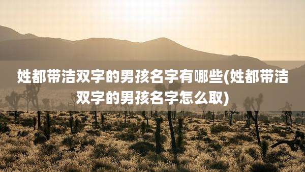 姓都带洁双字的男孩名字有哪些(姓都带洁双字的男孩名字怎么取)
