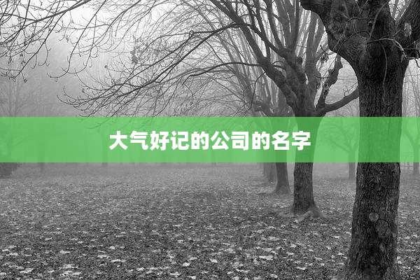 大气好记的公司的名字