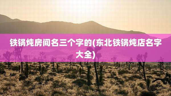 铁锅炖房间名三个字的(东北铁锅炖店名字大全)