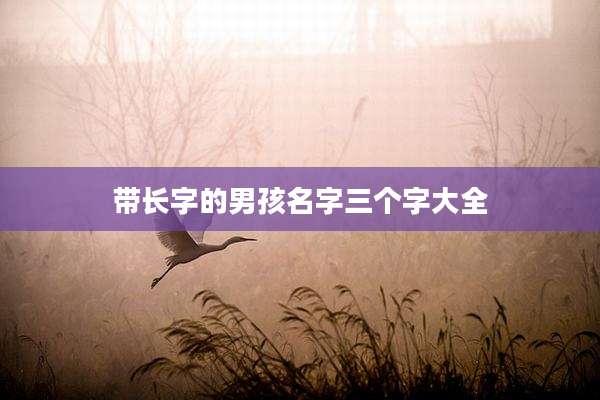 带长字的男孩名字三个字大全